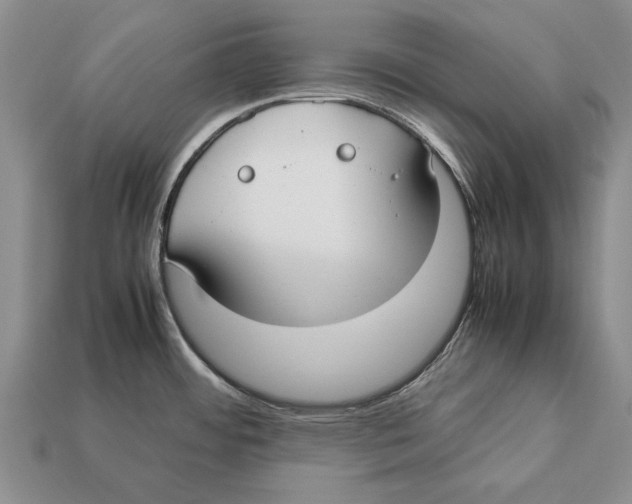 X0000113031484200909241403