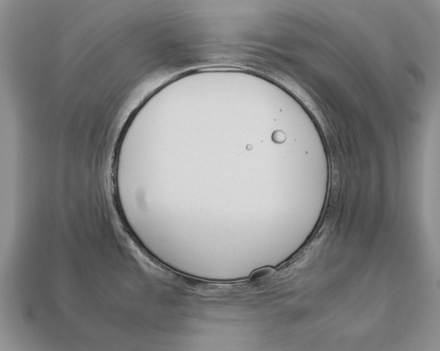 X0000113031485200909241403