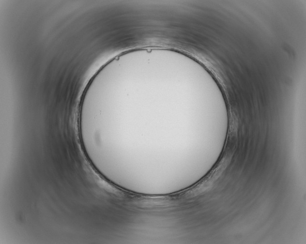 X0000113031486200909241403