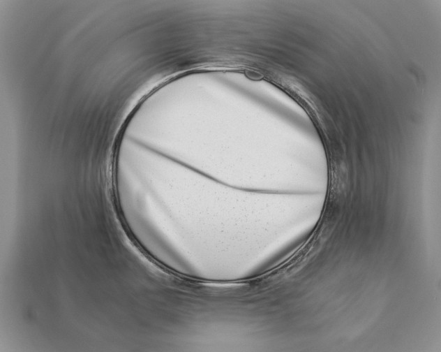 X0000113031487200909241403