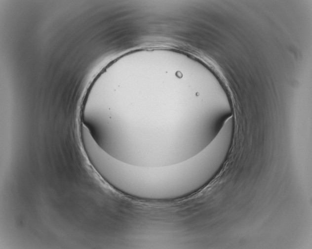 X0000113031488200909241403