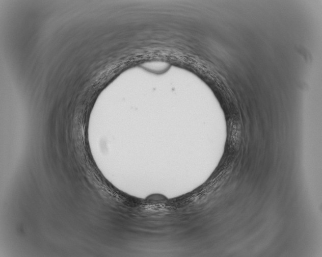 X0000113031489200909241402