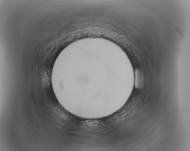 X0000113031491200909241402