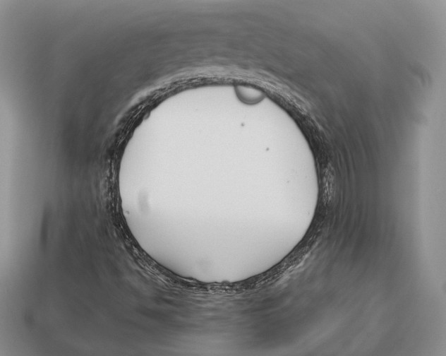 X0000113031494200909241402