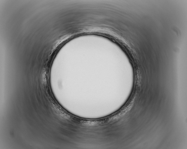 X0000113031497200909241402