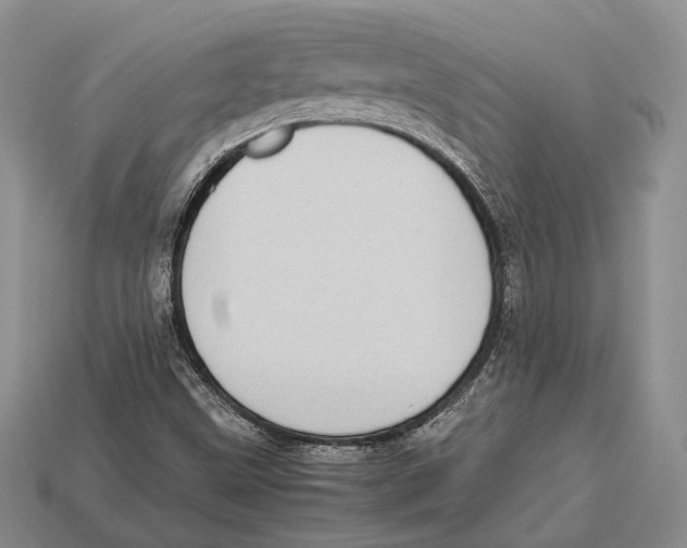 X0000113031499200909241402