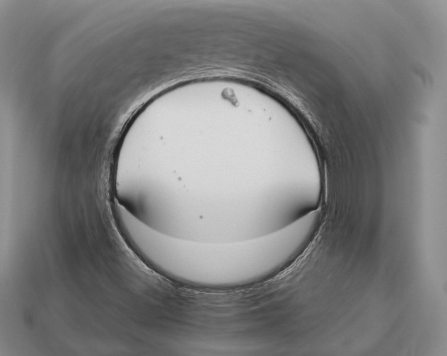 X0000113031500200909241402