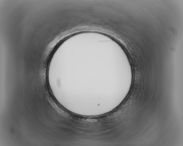 X0000113031503200909241402