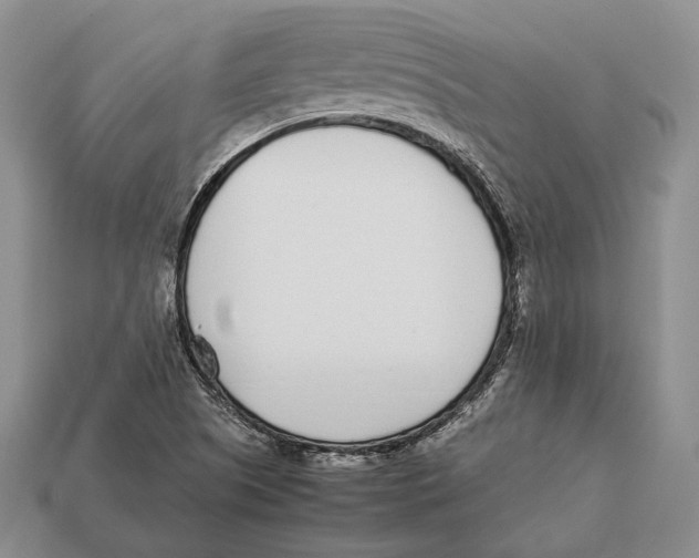 X0000113031505200909241402