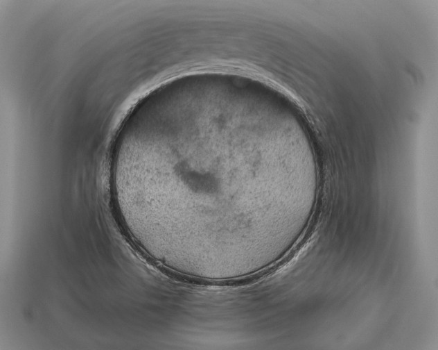 X0000113031506200909241402