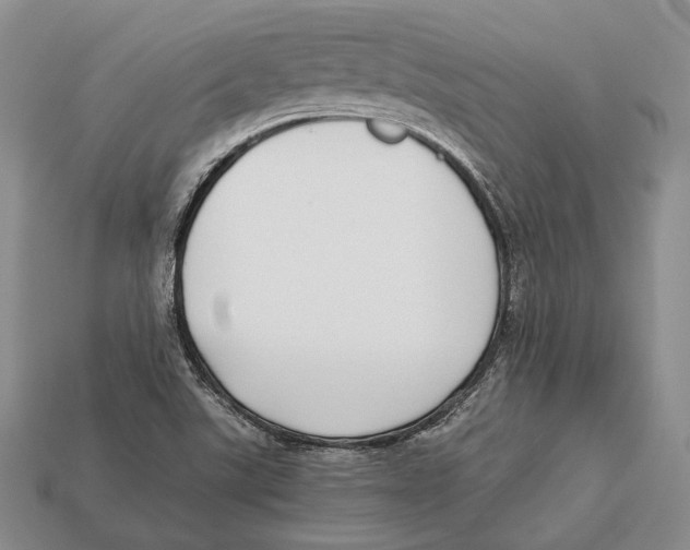 X0000113031507200909241402