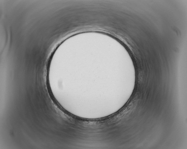 X0000113031508200909241402