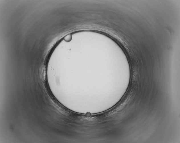 X0000113031509200909241402