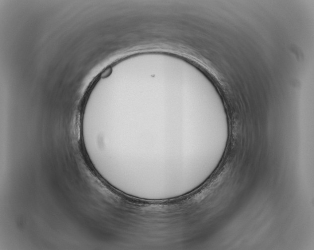 X0000113031510200909241402