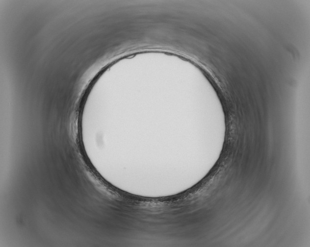 X0000113031511200909241402