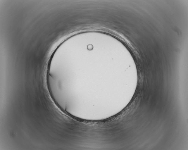 X0000113031512200909241402