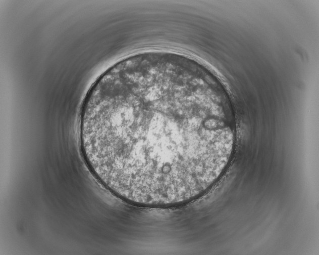 X0000113031514200909241402