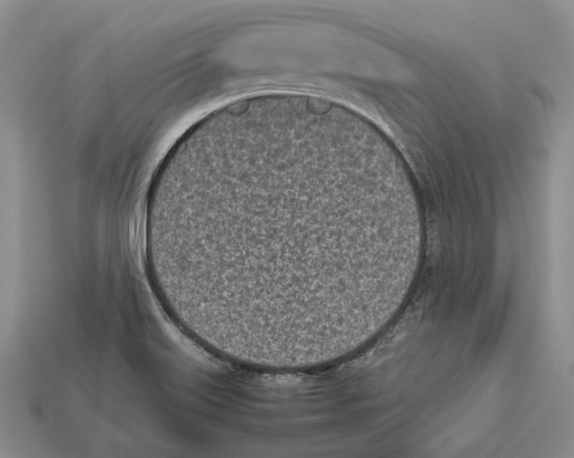 X0000113031515200909241402