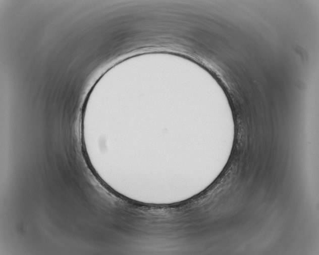 X0000113031516200909241402