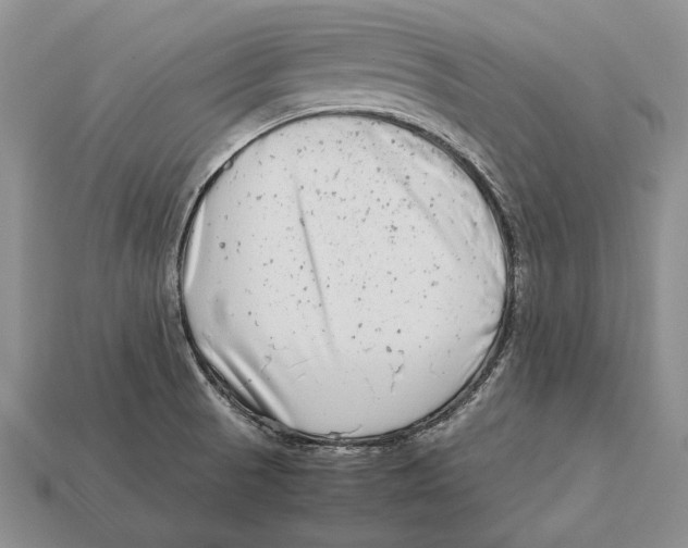 X0000113031521200909241402