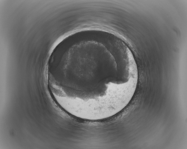 X0000113031522200909241402