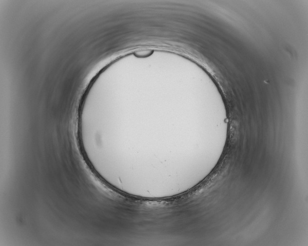 X0000113031523200909241402