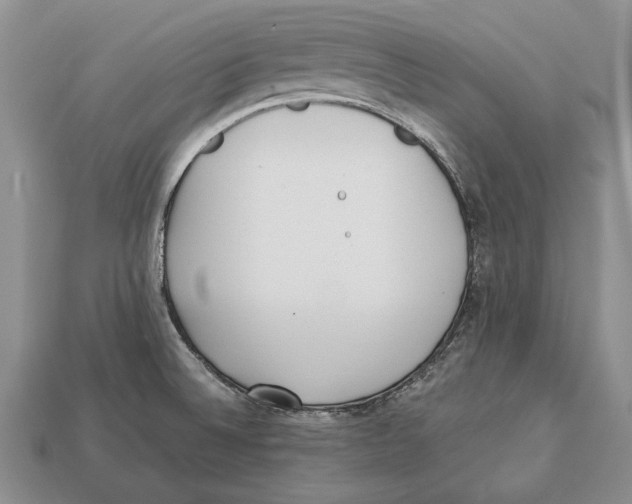 X0000113031524200909241402