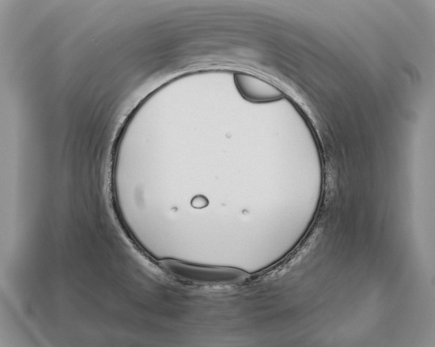 X0000113031525200909241402