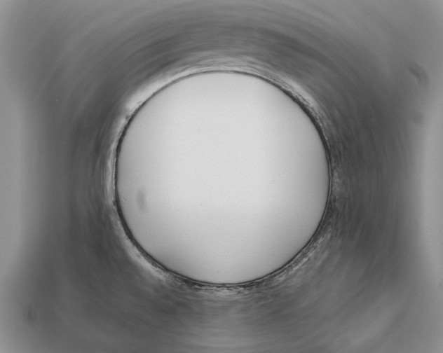 X0000113031528200909241403