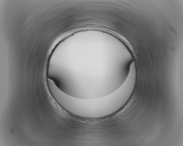 X0000113031530200909241403