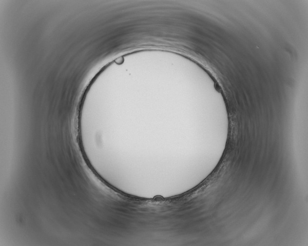 X0000113031531200909241403