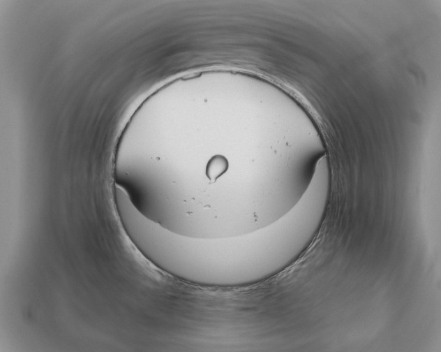 X0000113031532200909241403