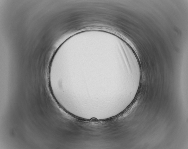 X0000113031533200909241403