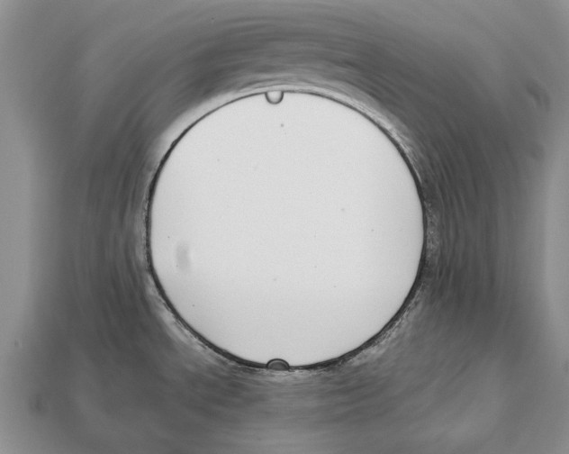 X0000113031534200909241403