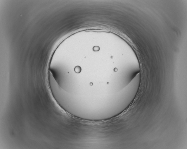 X0000113031536200909241403