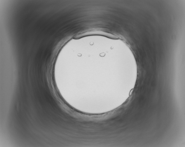X0000113030001200910081229