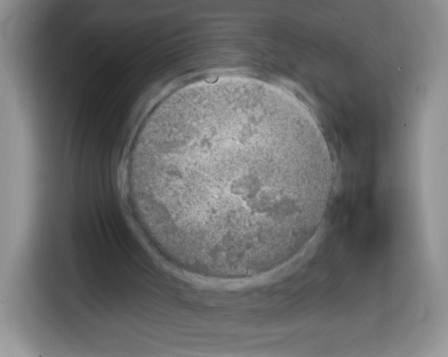 X0000113030002200910081229