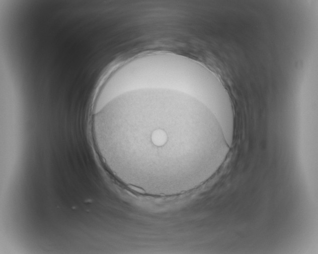 X0000113030003200910081229