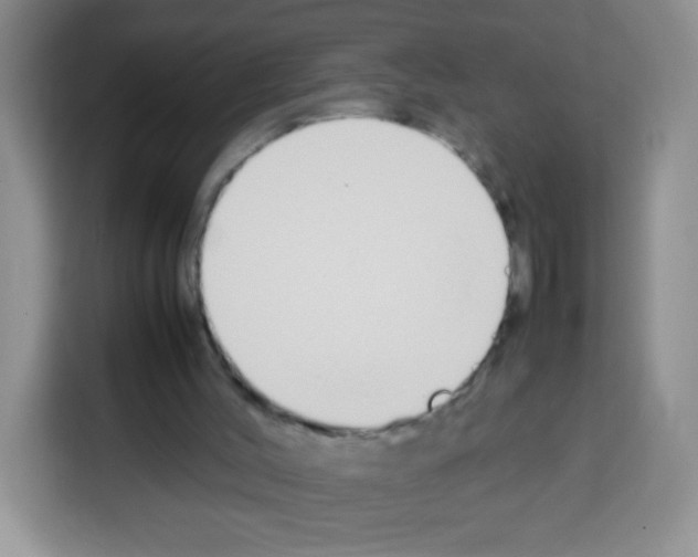 X0000113030004200910081229
