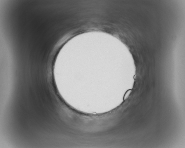X0000113030005200910081229