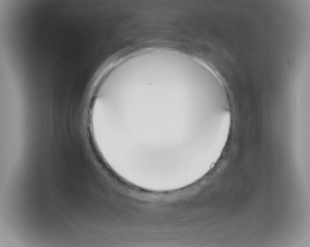 X0000113030007200910081229