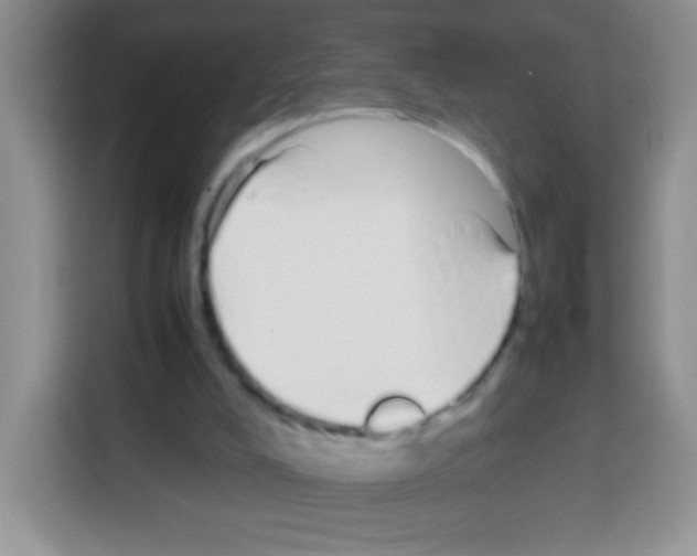 X0000113030008200910081229