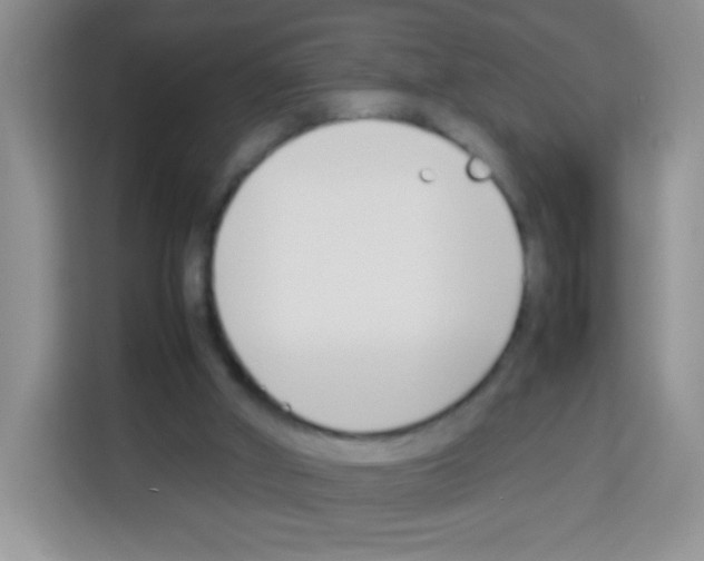 X0000113030010200910081229