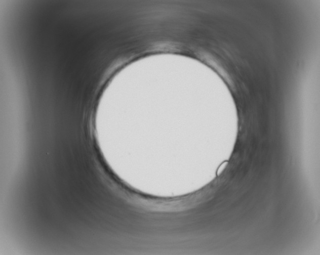 X0000113030011200910081229