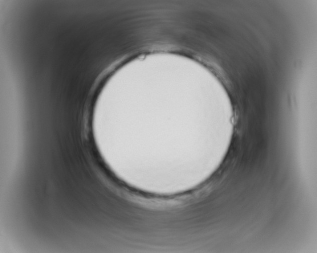 X0000113030012200910081229