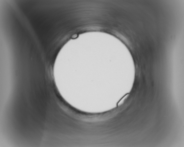 X0000113030013200910081229