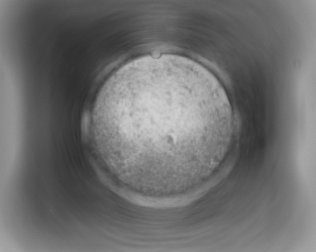X0000113030014200910081229