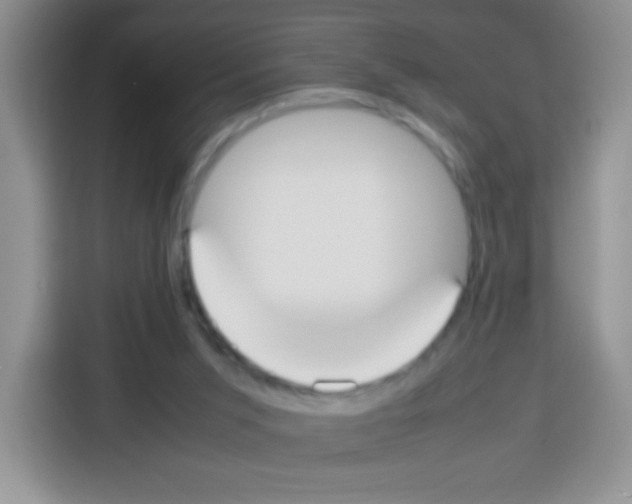 X0000113030015200910081229