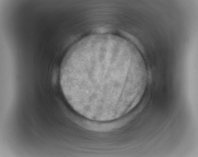 X0000113030018200910081229