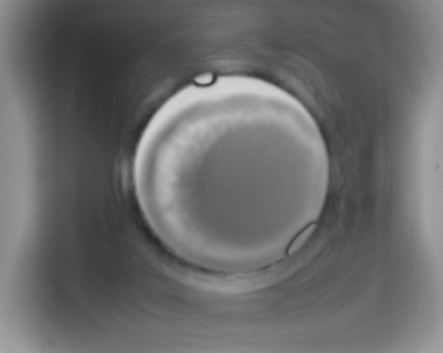 X0000113030019200910081229